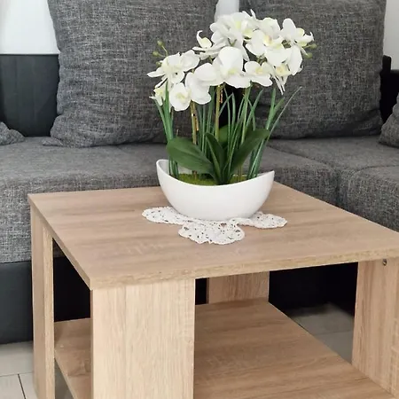 Vilic Apartment *