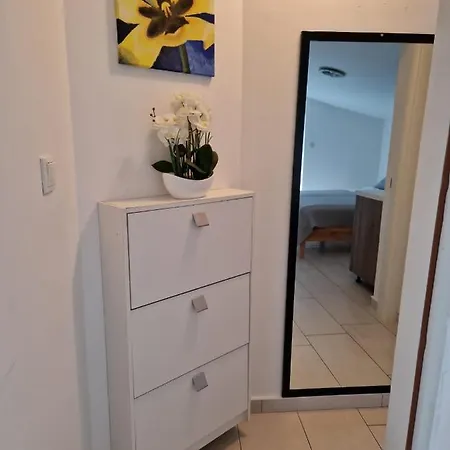 Vilic Apartment *