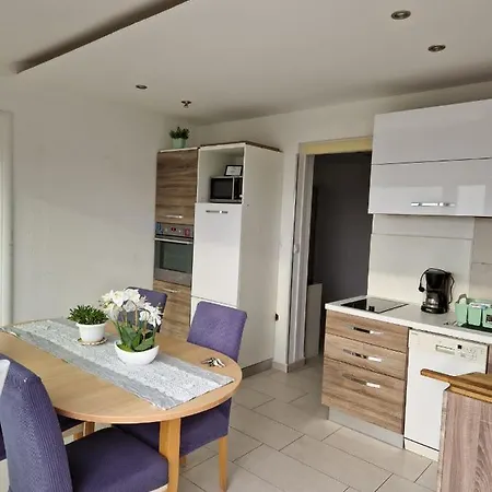 Apartment Vilic *