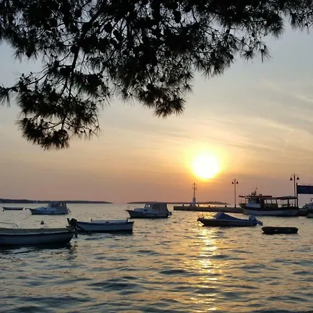 Vilic * Pula
