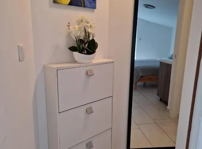 Vilic Apartment *